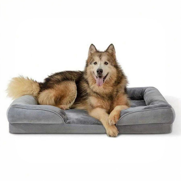 Orthopädisches Hundebett 